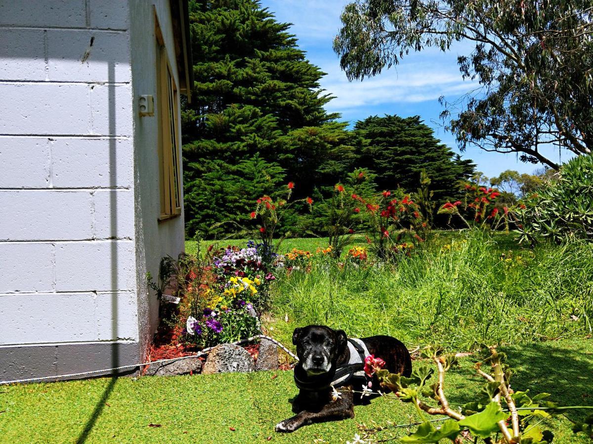 Twelve Apostles Motel & Country Retreat Princetown Exterior photo